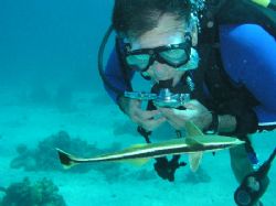 where is my next ride? Roatan,HN. by Liber Garrido Barnet 